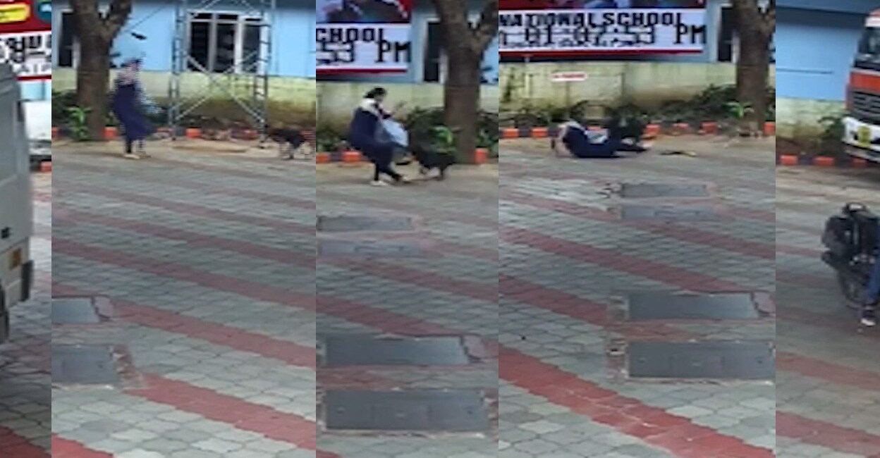 CCTV visuals of the stray dogs attacking Dr Parvathi.